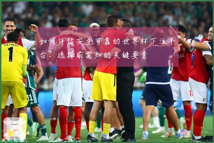 如何评估安全可靠的世界杯下注平台？选择前需知的关键要素