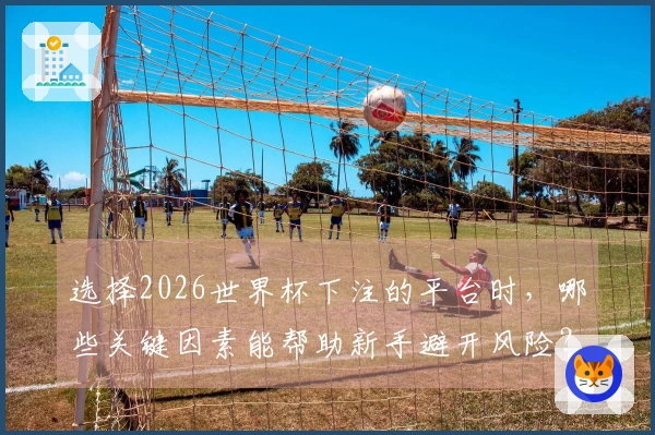 选择2026世界杯下注的平台时，哪些关键因素能帮助新手避开风险？