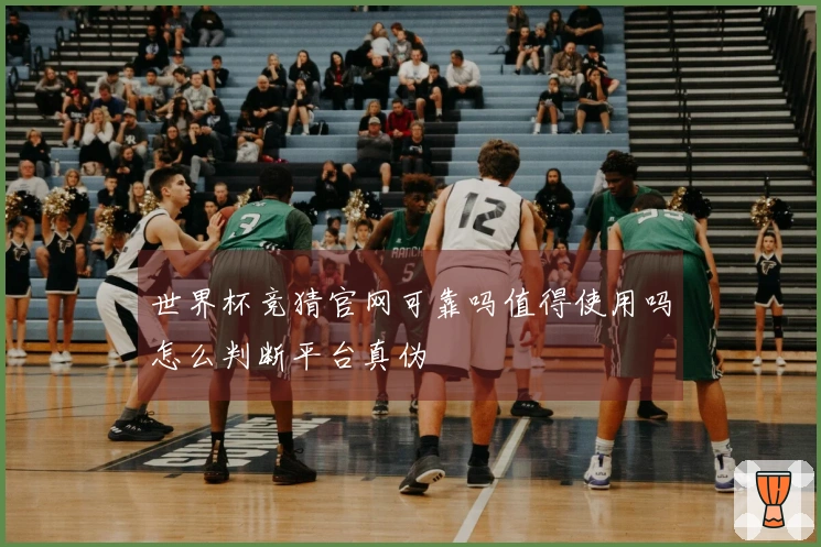 世界杯竞猜官网可靠吗值得使用吗怎么判断平台真伪