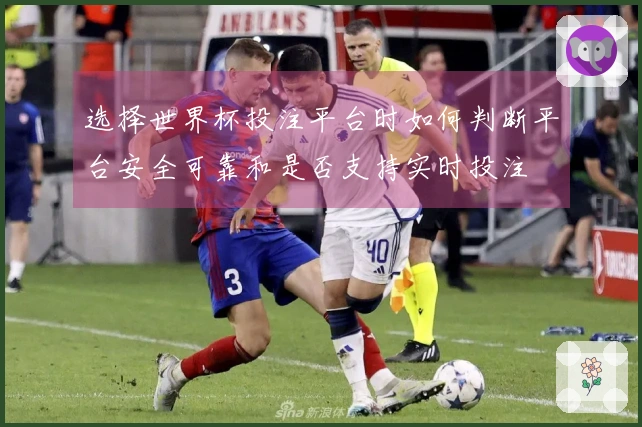 选择世界杯投注平台时如何判断平台安全可靠和是否支持实时投注