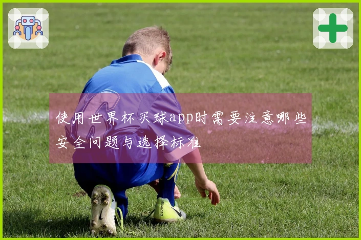 使用世界杯买球app时需要注意哪些安全问题与选择标准