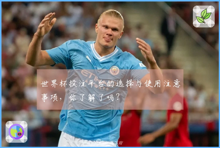世界杯投注平台的选择与使用注意事项，你了解了吗？
