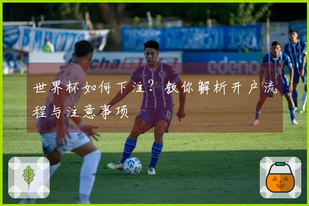 世界杯如何下注？教你解析开户流程与注意事项