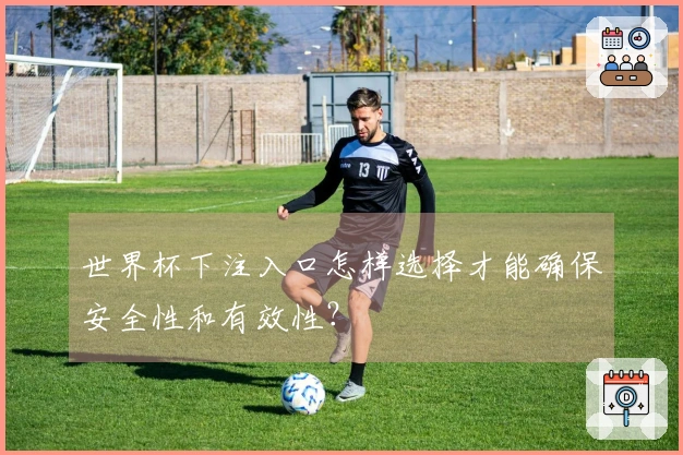 世界杯下注入口怎样选择才能确保安全性和有效性？