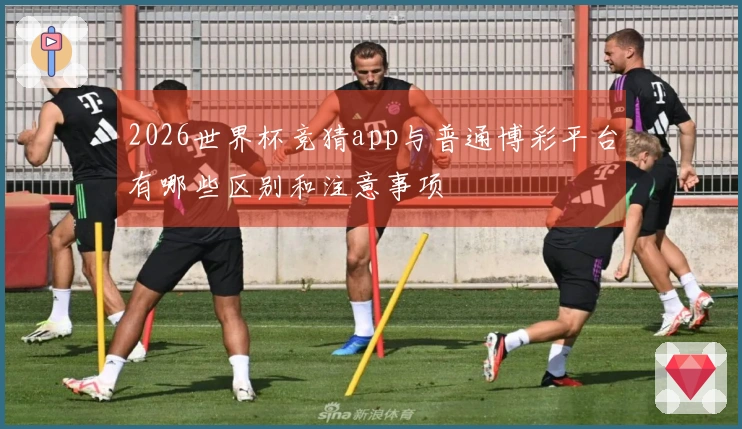 2026世界杯竞猜app与普通博彩平台有哪些区别和注意事项
