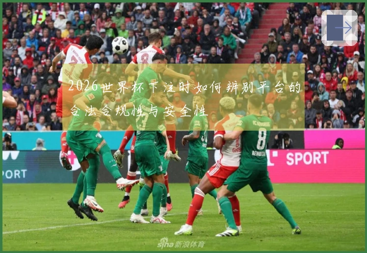 2026世界杯下注时如何辨别平台的合法合规性与安全性