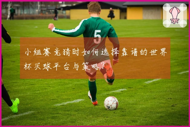 小组赛竞猜时如何选择靠谱的世界杯买球平台与策略？