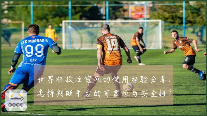 世界杯投注官网的使用经验分享，怎样判断平台的可靠性与安全性？