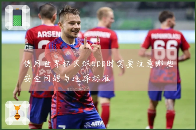 使用世界杯买球app时需要注意哪些安全问题与选择标准