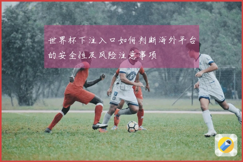世界杯下注入口如何判断海外平台的安全性及风险注意事项