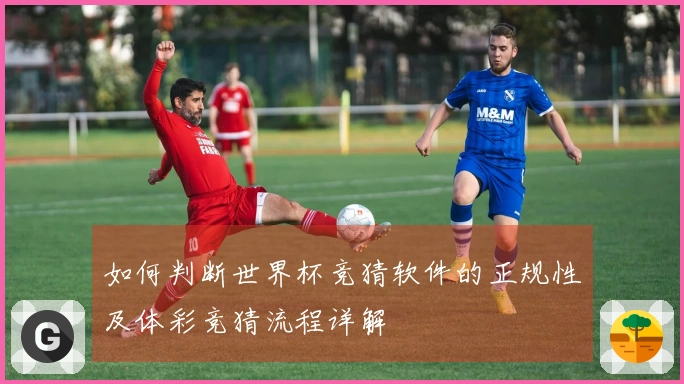如何判断世界杯竞猜软件的正规性及体彩竞猜流程详解