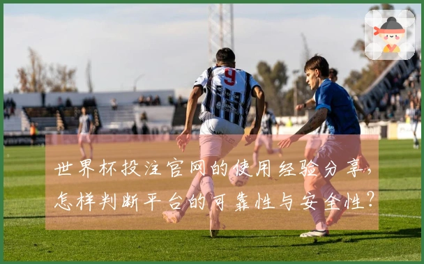 世界杯投注官网的使用经验分享，怎样判断平台的可靠性与安全性？