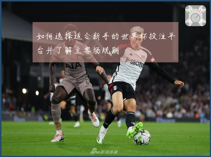 如何选择适合新手的世界杯投注平台并了解主客场规则