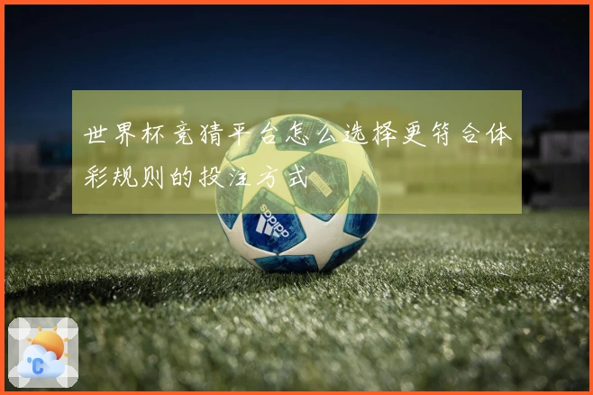 世界杯竞猜平台怎么选择更符合体彩规则的投注方式