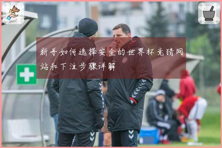 新手如何选择安全的世界杯竞猜网站和下注步骤详解