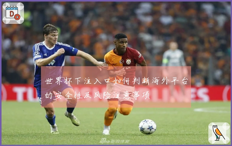 世界杯下注入口如何判断海外平台的安全性及风险注意事项