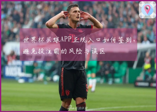世界杯买球APP正规入口如何鉴别，避免投注前的风险与误区