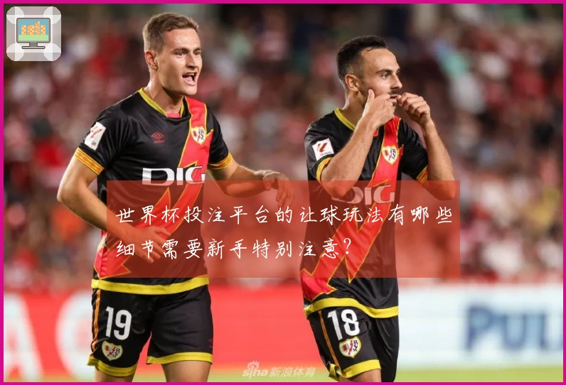 世界杯投注平台的让球玩法有哪些细节需要新手特别注意？