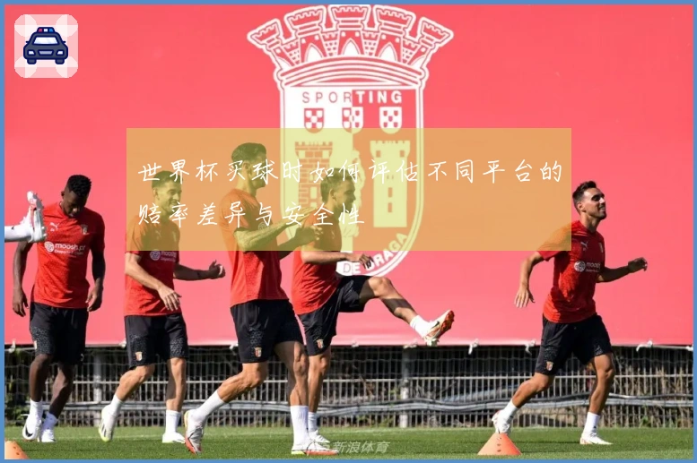 世界杯买球时如何评估不同平台的赔率差异与安全性