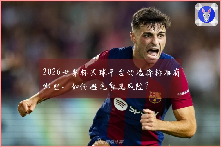 2026世界杯买球平台的选择标准有哪些，如何避免常见风险？