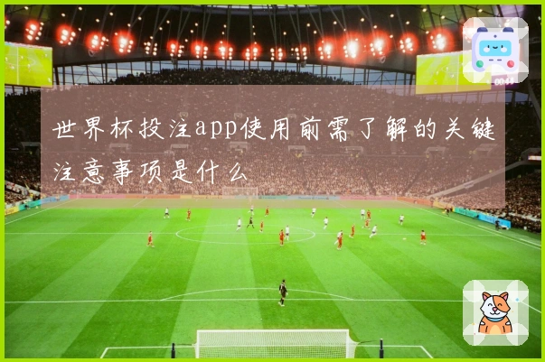世界杯投注app使用前需了解的关键注意事项是什么