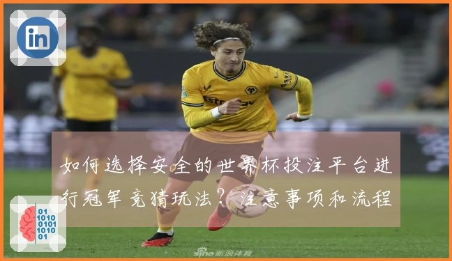 如何选择安全的世界杯投注平台进行冠军竞猜玩法？注意事项和流程解析