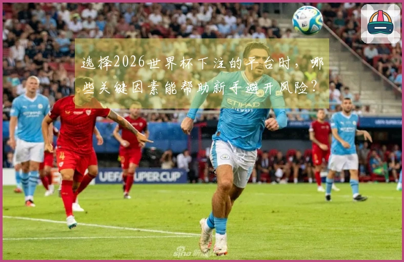 选择2026世界杯下注的平台时，哪些关键因素能帮助新手避开风险？