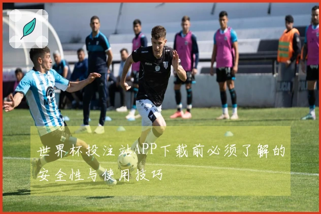 世界杯投注站APP下载前必须了解的安全性与使用技巧