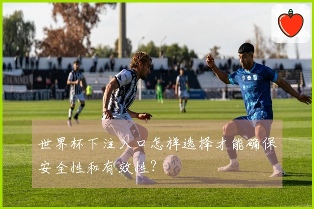 世界杯下注入口怎样选择才能确保安全性和有效性？