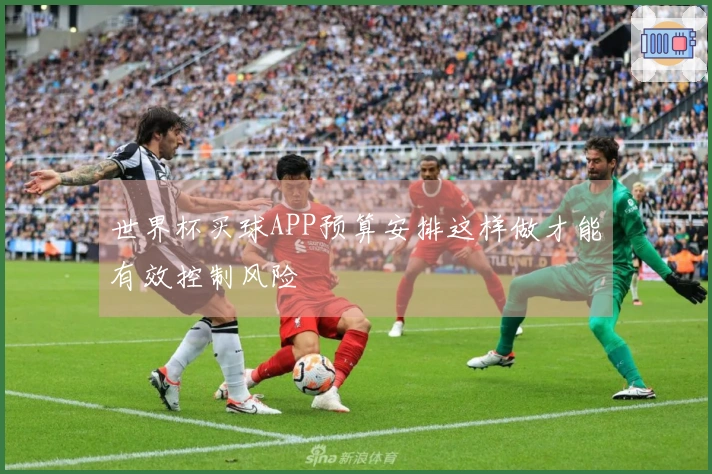 世界杯买球APP预算安排这样做才能有效控制风险