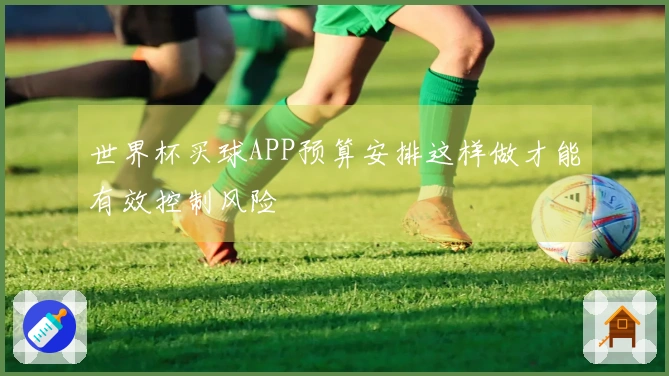 世界杯买球APP预算安排这样做才能有效控制风险