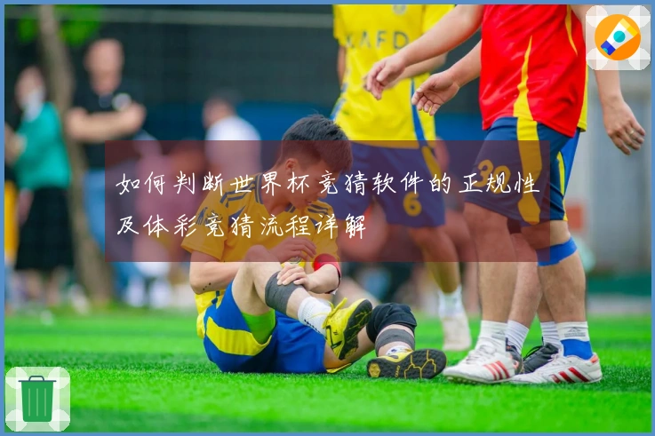 如何判断世界杯竞猜软件的正规性及体彩竞猜流程详解