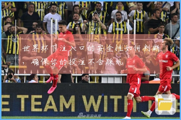 世界杯下注入口的安全性如何判断，确保你的投注不会踩坑