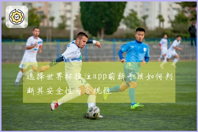 选择世界杯投注app前新手该如何判断其安全性与合规性