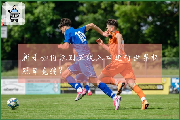 新手如何识别正规入口进行世界杯冠军竞猜？