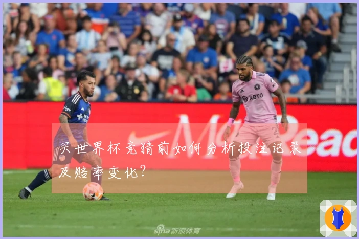 买世界杯竞猜前如何分析投注记录及赔率变化？