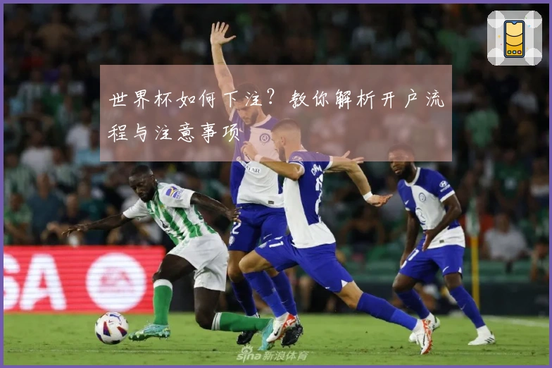 世界杯如何下注？教你解析开户流程与注意事项
