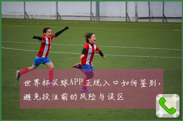 世界杯买球APP正规入口如何鉴别，避免投注前的风险与误区