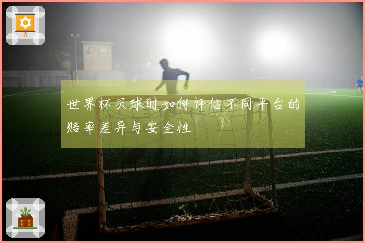 世界杯买球时如何评估不同平台的赔率差异与安全性