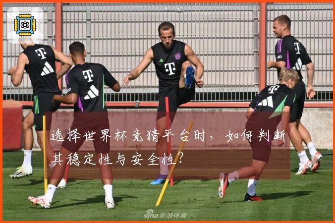 选择世界杯竞猜平台时，如何判断其稳定性与安全性？