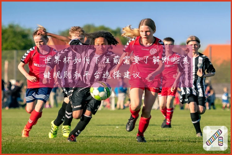 世界杯如何下注前需要了解哪些关键规则和平台选择建议