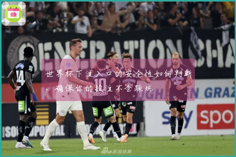 世界杯下注入口的安全性如何判断，确保你的投注不会踩坑