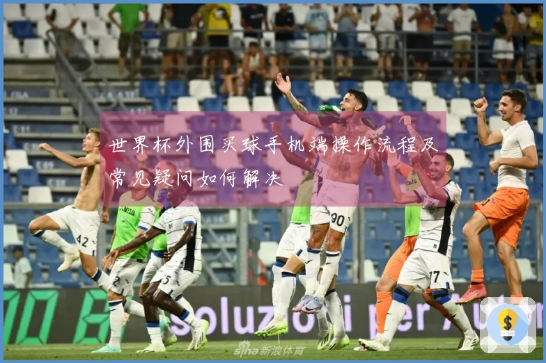 世界杯外围买球手机端操作流程及常见疑问如何解决